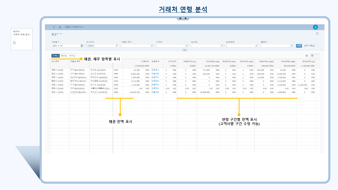 계정 분석 피오리 앱(Account Analysis Fiori App) 기능